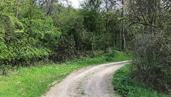 Auf dem Weg zum Flugplatz