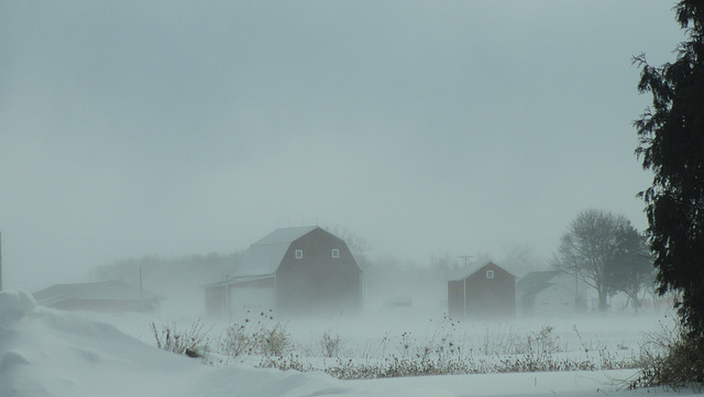 Still Winter in Mulliken