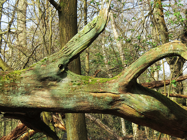 hampstead heath, london