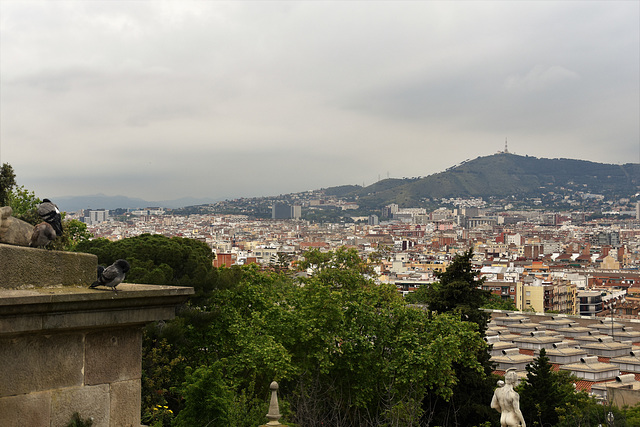 Blick von Museu Nacional d'Art de Catalunya