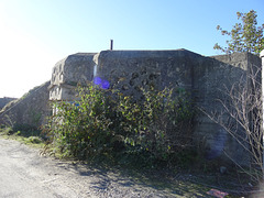 wg (1644)