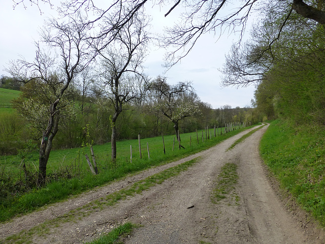 Auf dem Wanderweg Nr. 9