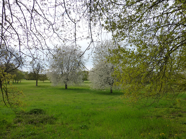 Auf dem Wanderweg Nr. 9