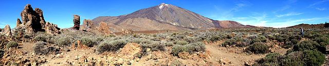 Ein Blick zum Teide, hinweg über die Ginsterbüsche und vorbei an den Roques de García. ©UdoSm