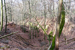 -schlucht-02586-co-05-03-17