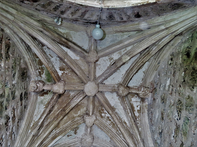 marldon church, devon , early c16 porch vaulting (1)