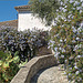 Granada Sacromonte