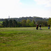 Golf Course on Penn Common, with the chimney of Baggeridge Brickworks on the horizon