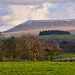 Pendle Hill late afternoon