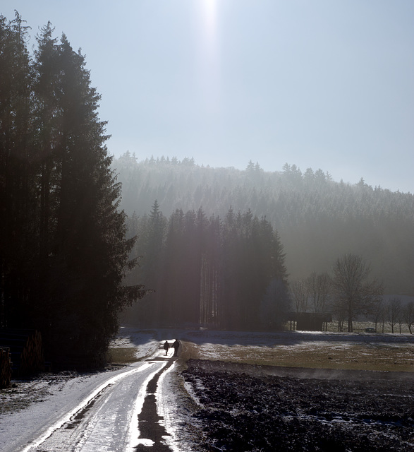 Paar am alten Hau