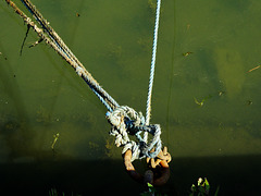 Rope, Knots, Water and Light