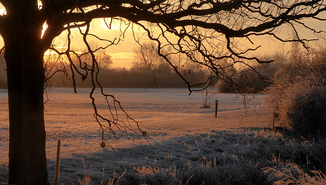 Frostiger Januarmorgen