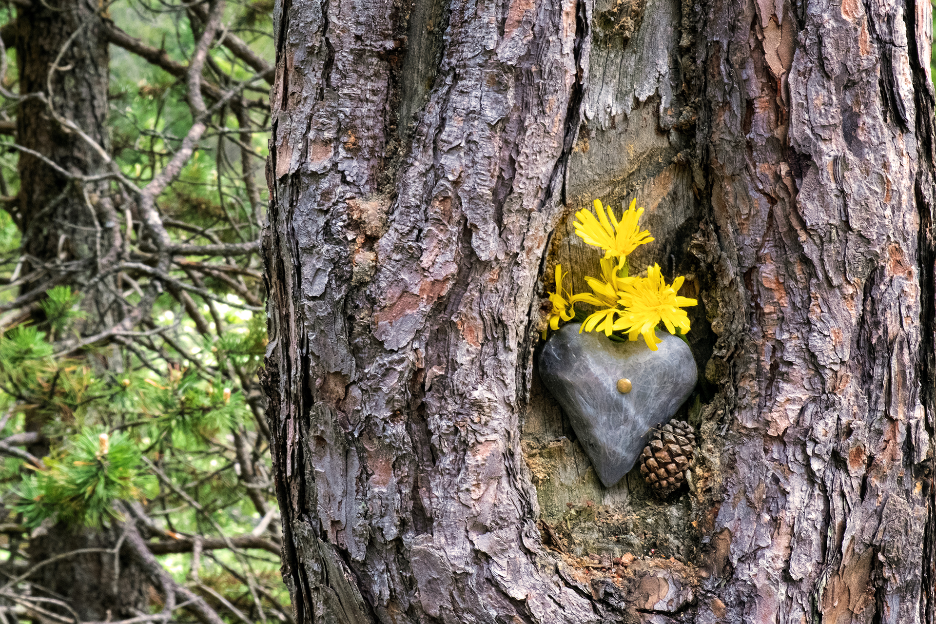 A Lucky Charm Along The Way