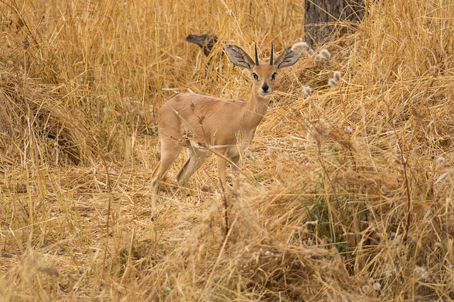 Namibia-0825