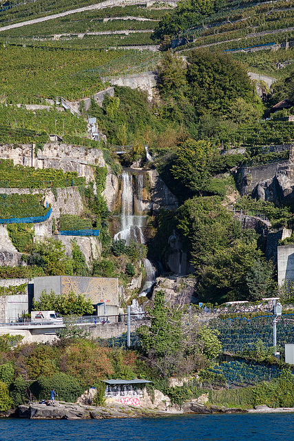 231002 Lavaux Forestay