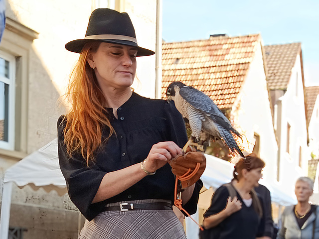 der Falke auf der Hand