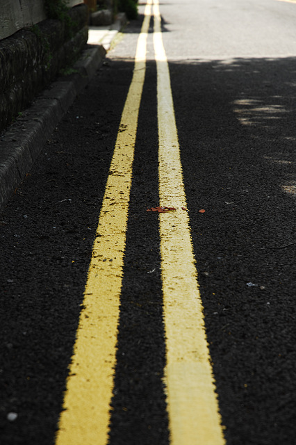 Two Yellow Lines