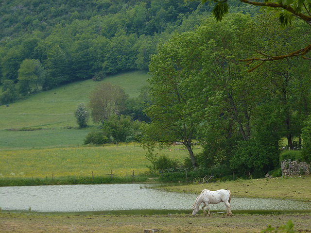 20150523 -25 Rando VTT La chapelle en Vercors (16) al