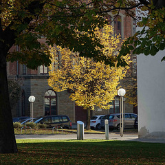 herbstlich vor dem Staatsarchiv