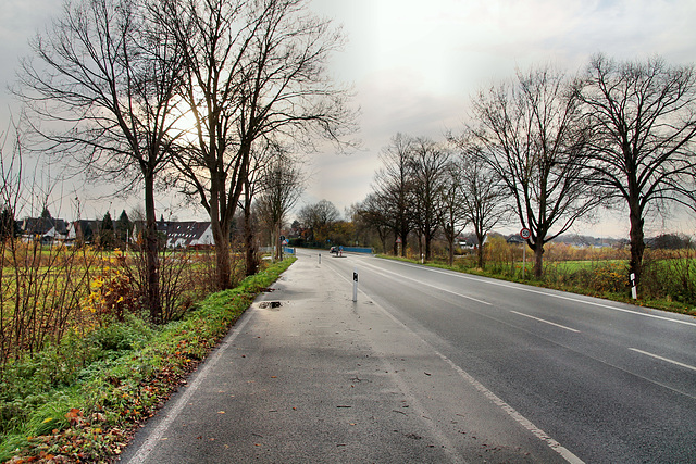 Hammer Straße (Bönen-Altenbögge) / 25.11.2017