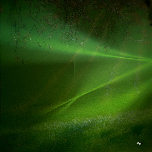 Green Forever