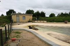 Seehundstation Friedrichskoog