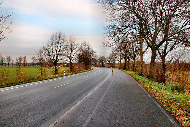 Hammer Straße (Bönen-Altenbögge) / 25.11.2017