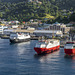 morning ferries