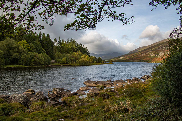 Llyn Llynnau