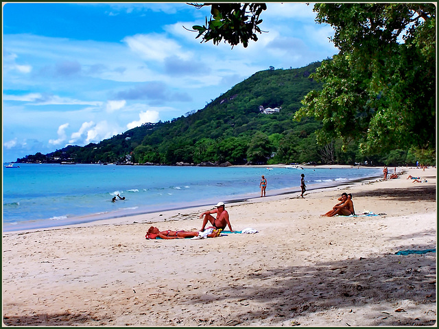 MAHE' : Beau Vallon Beach : sole, mare , ombra di verde naturale