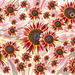 Sunflower montage
