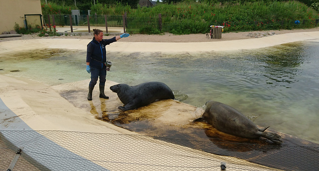 Seehundstation Friedrichskoog