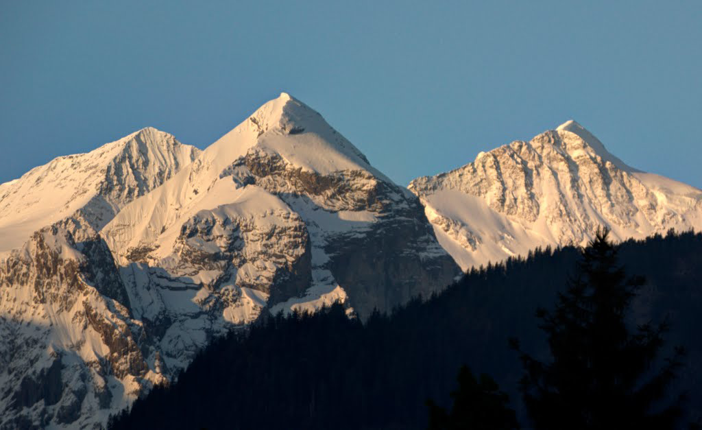 Rosenhorn, Mittelhorn,Wetterhorn