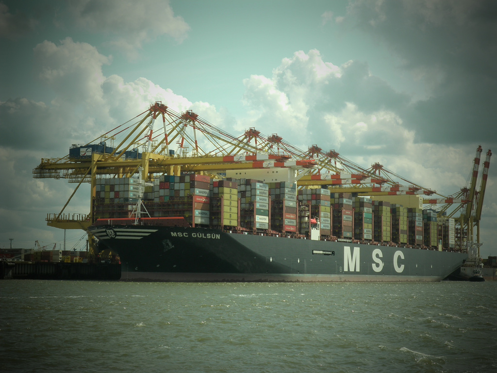 MSC GÜLSÜN