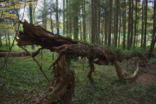 Streifzug durchs "Bergische Land"