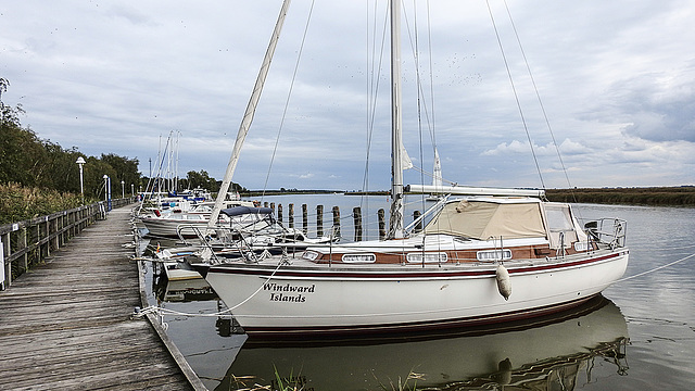 20190908 6095CPw [D~NVP] Boote, Zingst