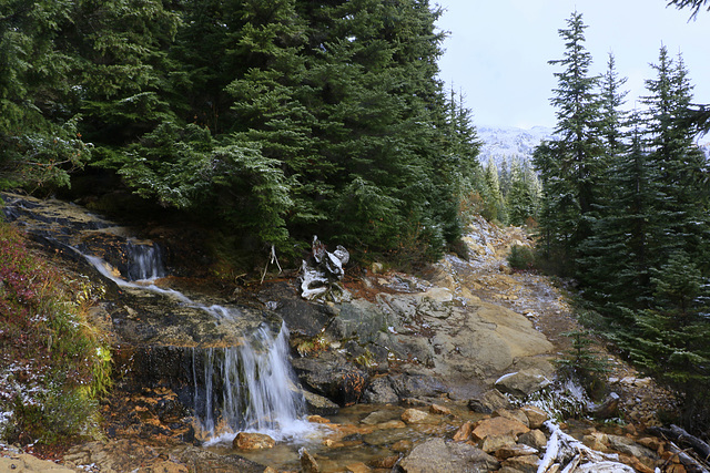 Cutthroat Pass Trail