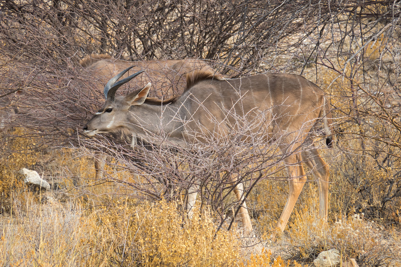 Namibia-0835