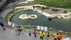 Seehundstation Friedrichskoog