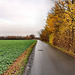 Schwarzer Weg (Bönen-Altenbögge) / 25.11.2017