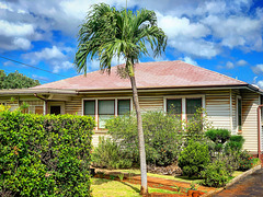 detail - walking in Kaimuki