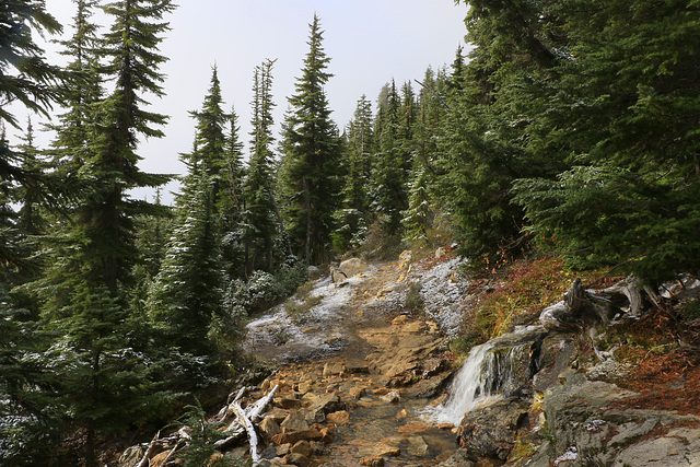 Cutthroat Pass Trail