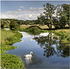 Abbey Stream, Pyrford, Surrey