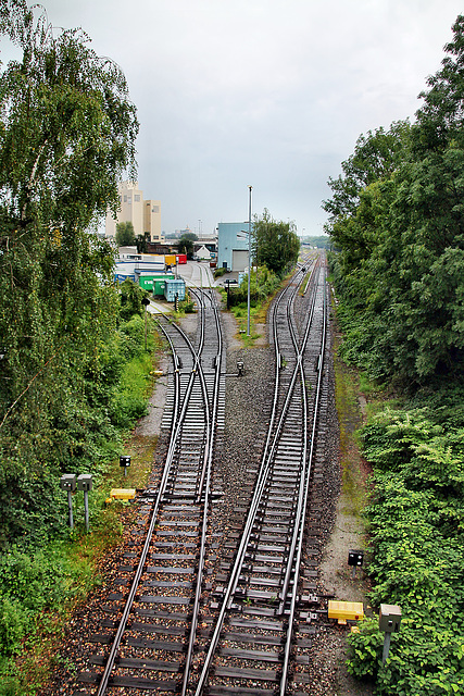 Blick auf die Gleisanlagen der Hafenbahn (Hafen Dortmund) / 19.08.2023