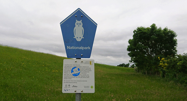 Nationalpark Wattenmeer, Friedrichskoog