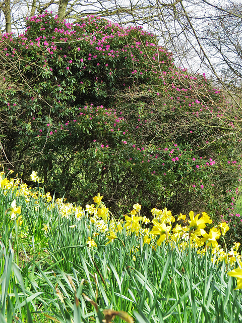 kenwood house, london