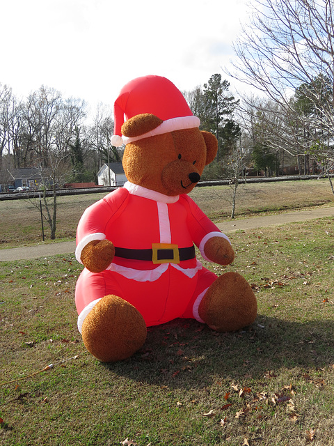 Teddy bear dressed for Christmas