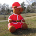 Teddy bear dressed for Christmas
