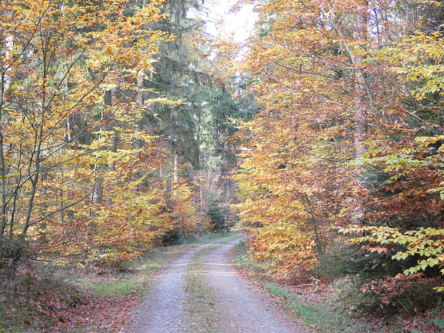 auf dem Weg zu den Drei-Kreuz