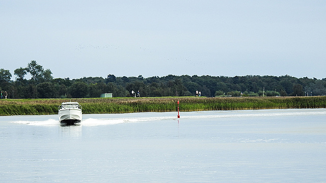 20190908 6097CPw [D~NVP] Motorboot, Zingst